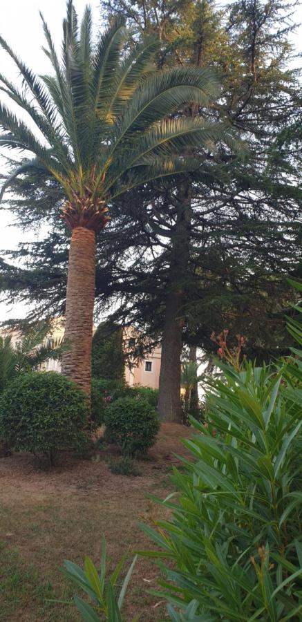 Apartment Francia, Cannes,minimum 6 Nuits De Sejour Cannes